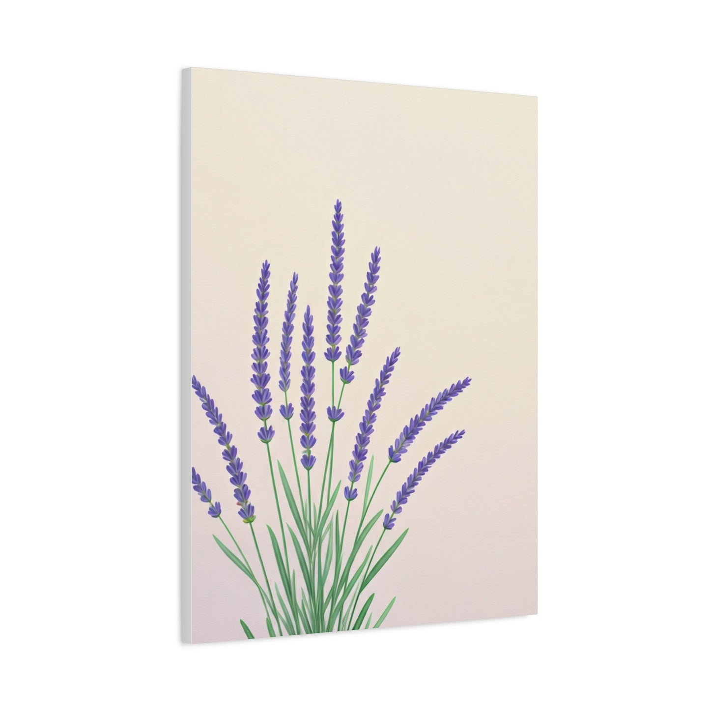 Lavender Botanical Minimal Illustration Wall Art & Canvas Prints
