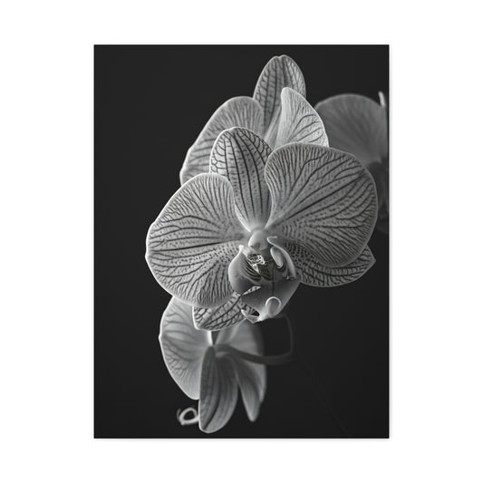 Elegant Orchid Portrait Monochrome Wall Art & Canvas Prints