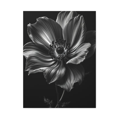 Anemone Bloom with Dramatic Center Wall Art & Canvas Prints