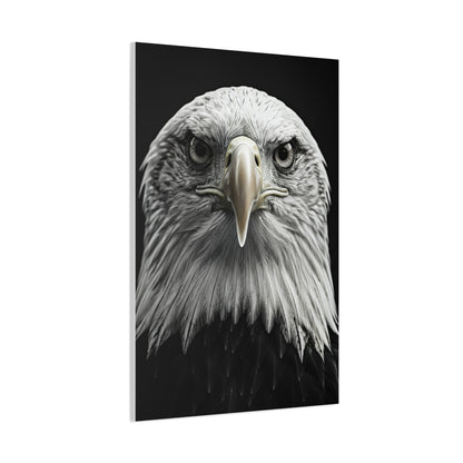Bald Eagle Power Portrait Wall Art & Canvas Prints