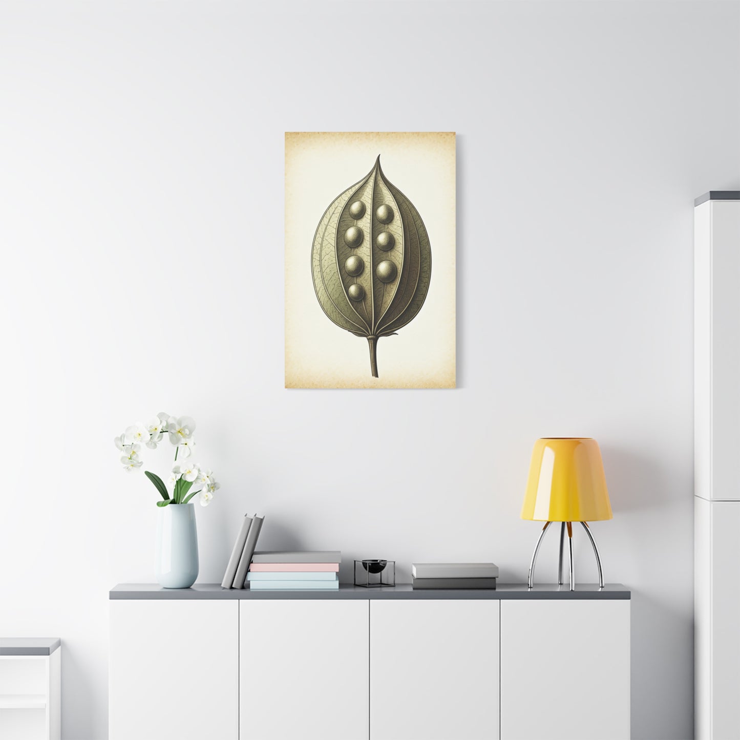 Seed Pod Study Wall Art & Canvas Prints