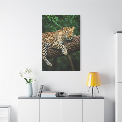 Leopard Resting in Jungle Canopy Wall Art & Canvas Prints