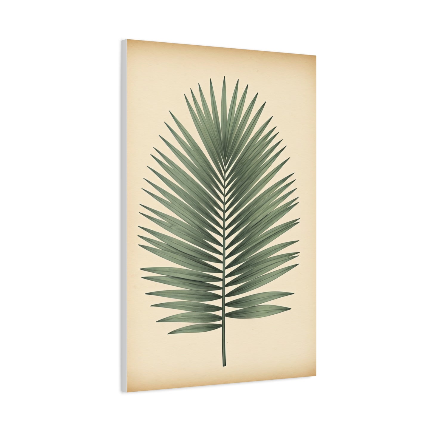 Palm Leaf Minimalist Illustration Wall Art & Canvas Prints