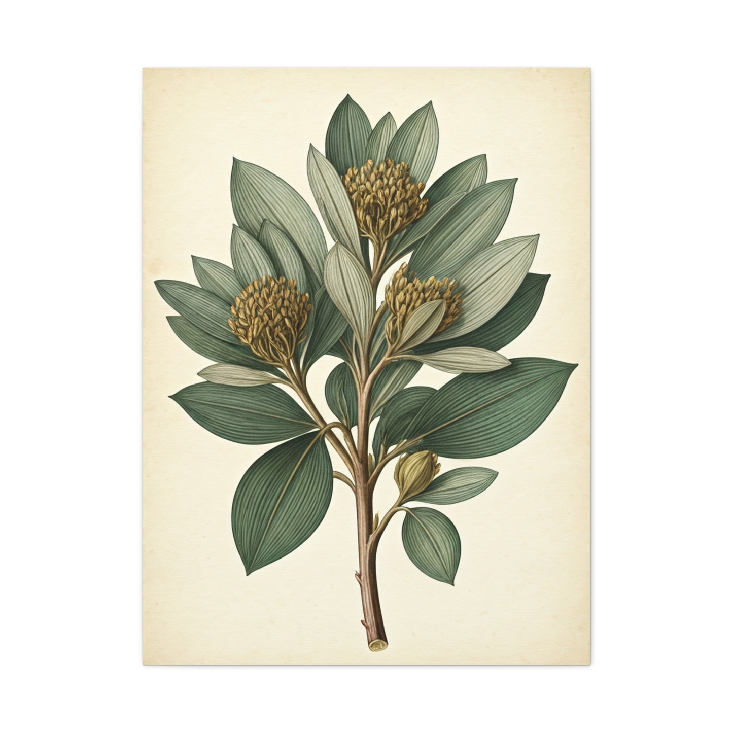 Floral Branch Illustration Wall Art & Canvas Prints