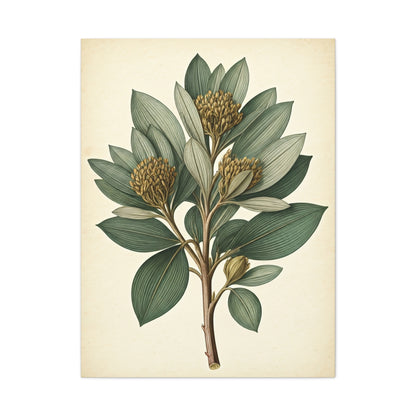 Floral Branch Illustration Wall Art & Canvas Prints