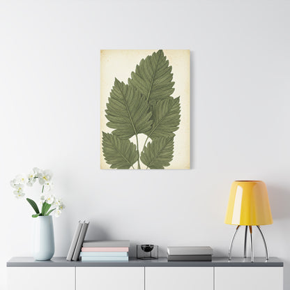 Vintage Leaf Study Illustration Wall Art & Canvas Prints