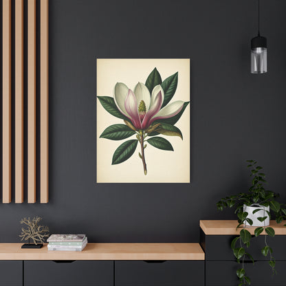 Magnolia Flower Cross Section Wall Art & Canvas Prints