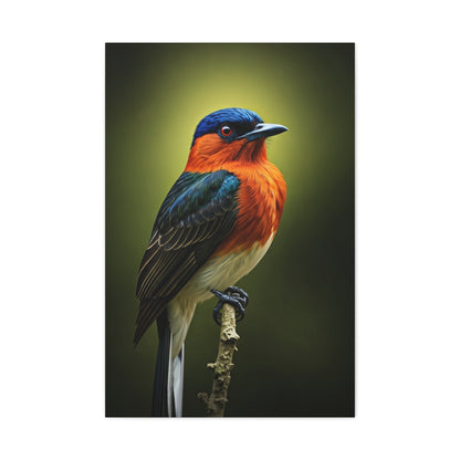 Vibrant Bluebird Perch Wall Art & Canvas Prints