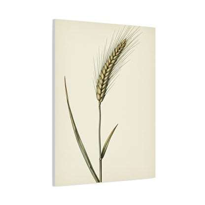 Golden Grain Stem Illustration Wall Art & Canvas Prints
