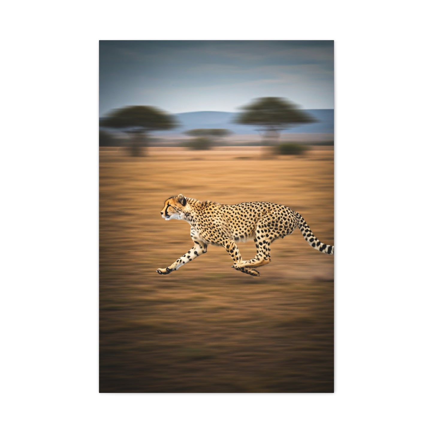 Cheetah Sprint Across the Desert Plains Wall Art & Canvas Prints