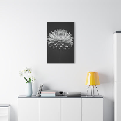 Symmetrical Dahlia Bloom Wall Art & Canvas Prints