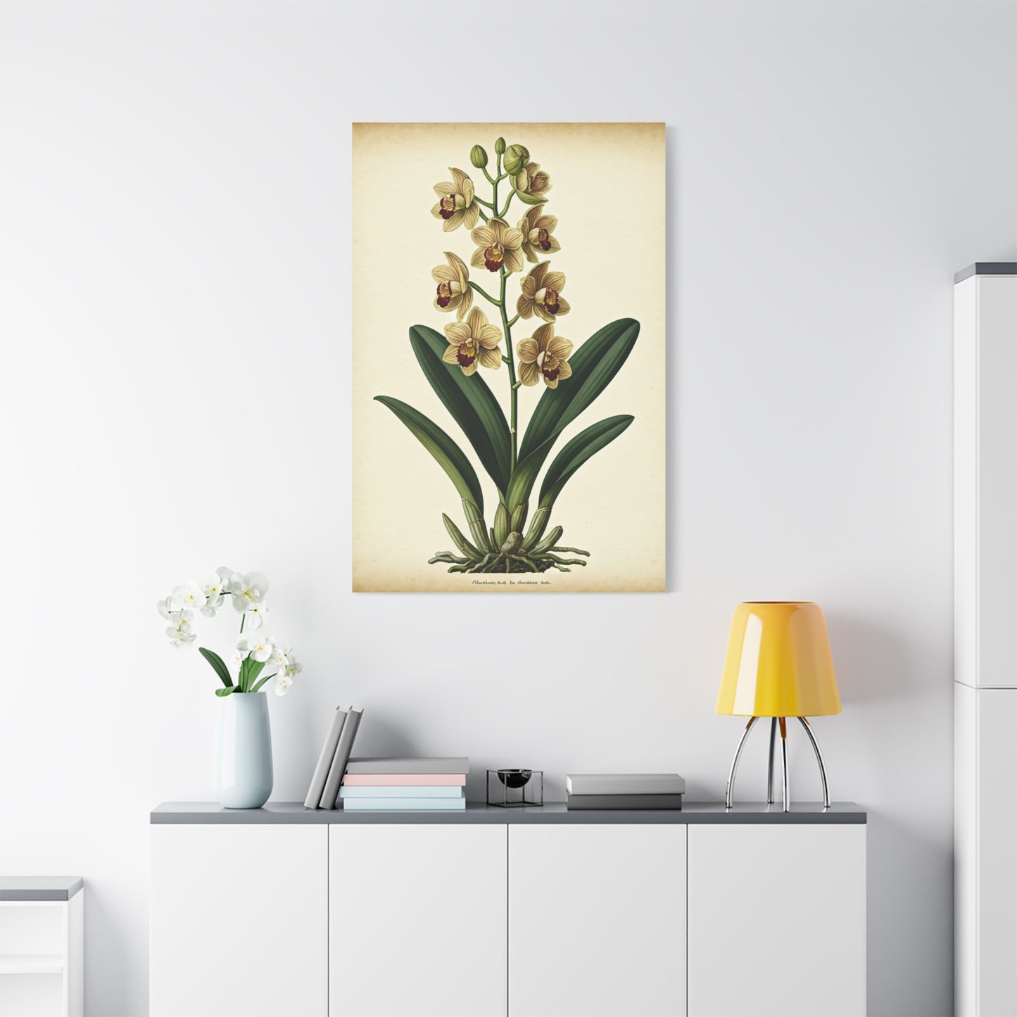 Vintage Wildflower Study Wall Art & Canvas Prints