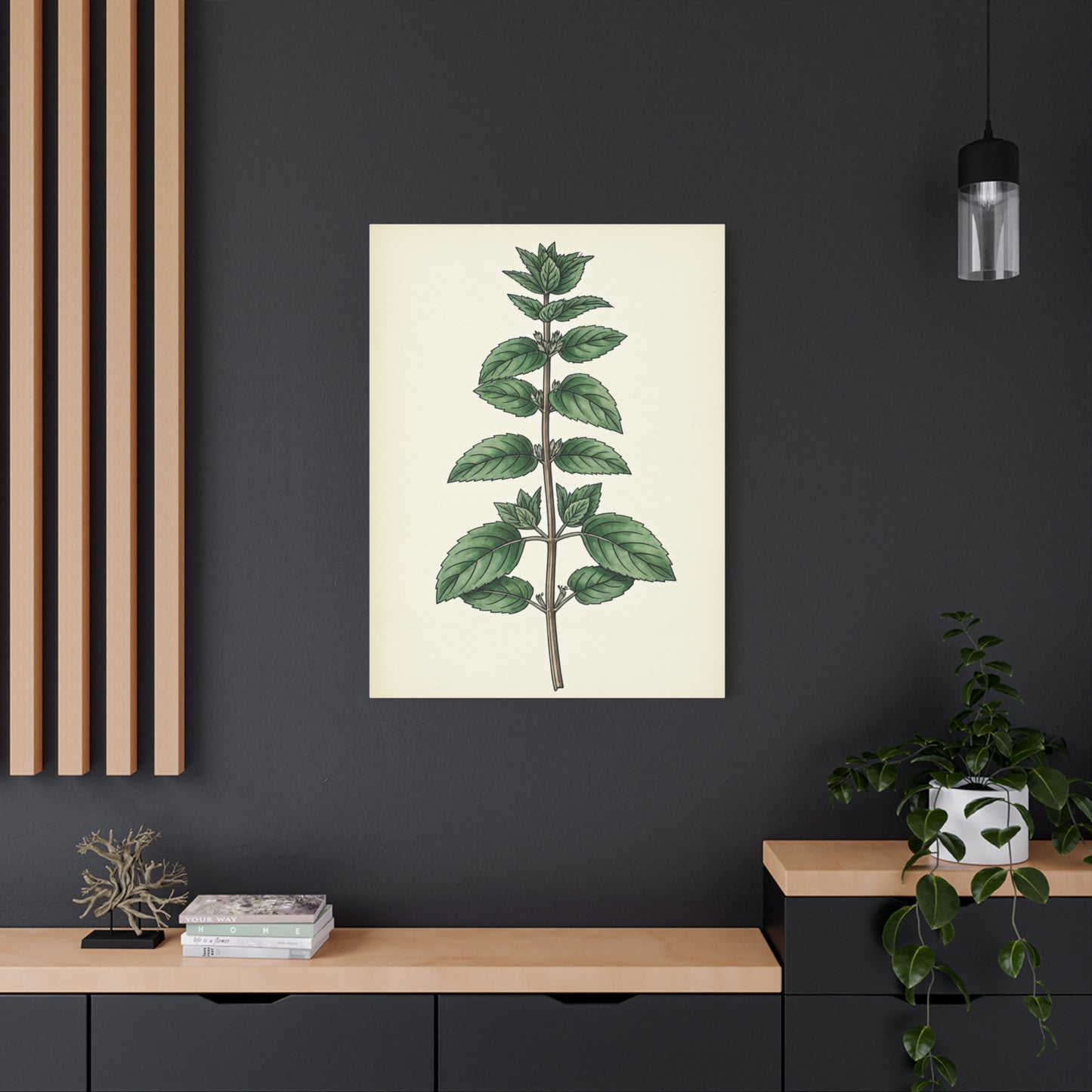 Mint Plant Herbal Illustration Wall Art & Canvas Prints