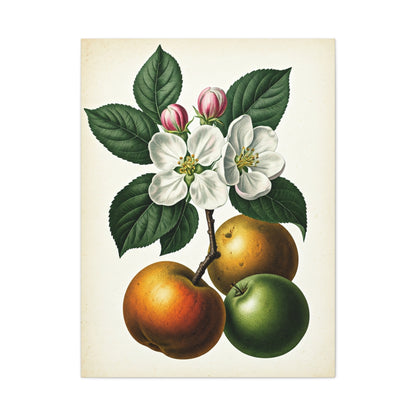Citrus Fruit Illustration Wall Art & Canvas Prints