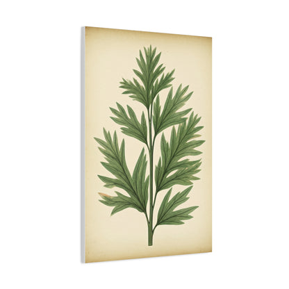 Botanical Herb Study Vintage Wall Art & Canvas Prints
