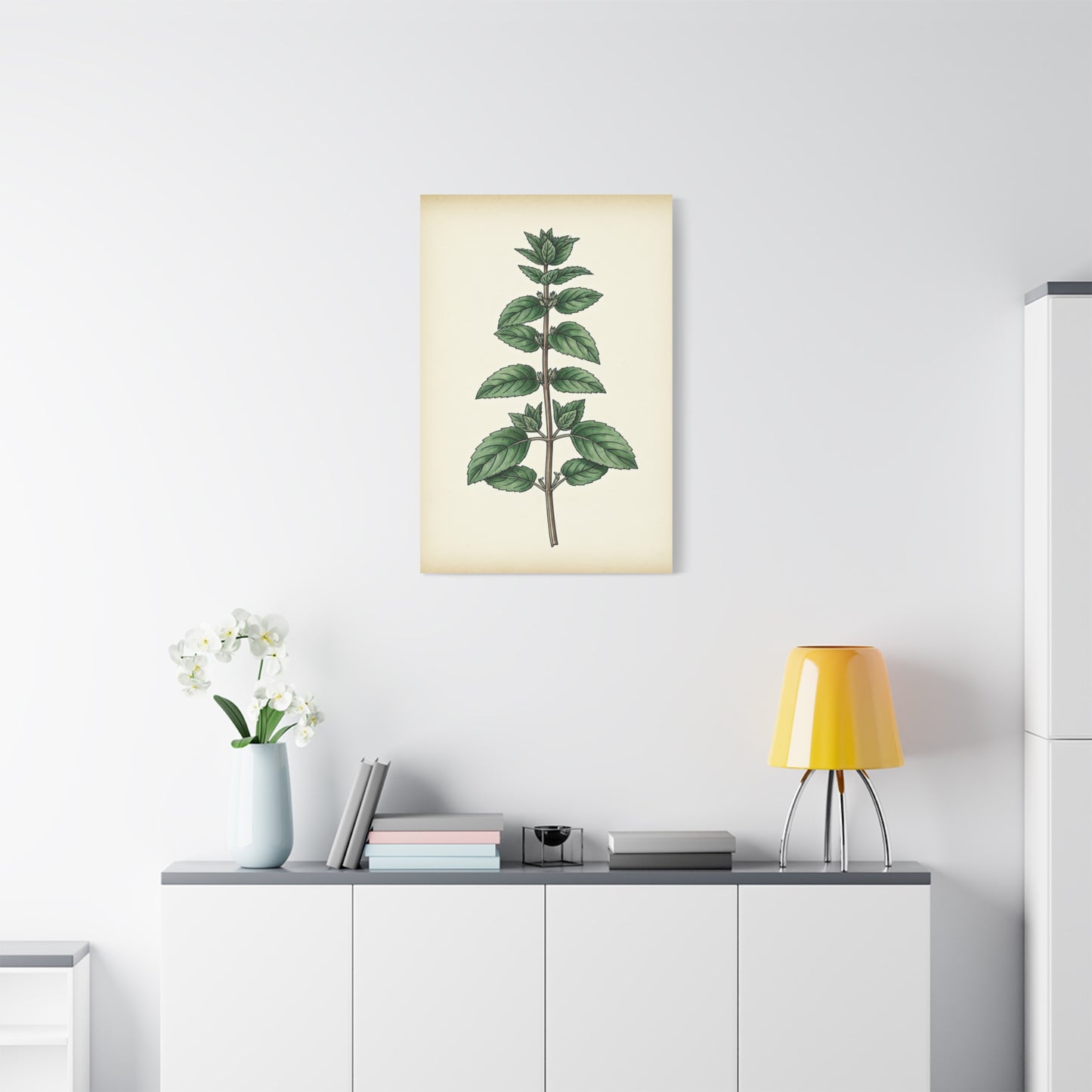 Mint Plant Herbal Illustration Wall Art & Canvas Prints