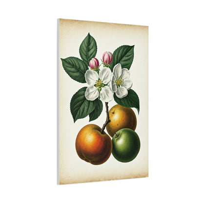 Citrus Fruit Illustration Wall Art & Canvas Prints