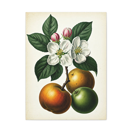 Citrus Fruit Illustration Wall Art & Canvas Prints