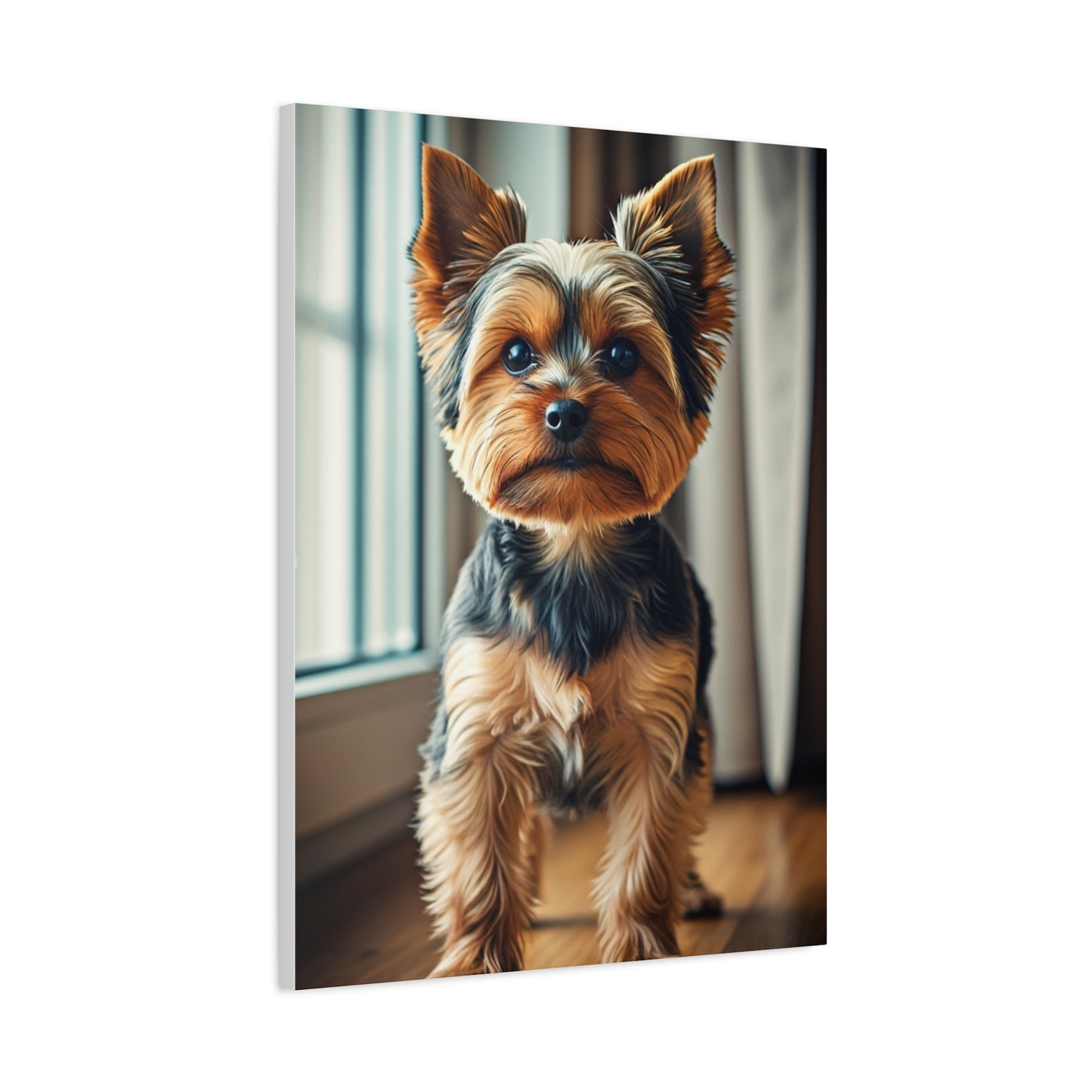 Window Light Yorkie Portrait Wall Art & Canvas Print
