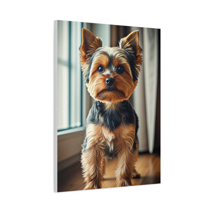 Window Light Yorkie Portrait Wall Art & Canvas Print