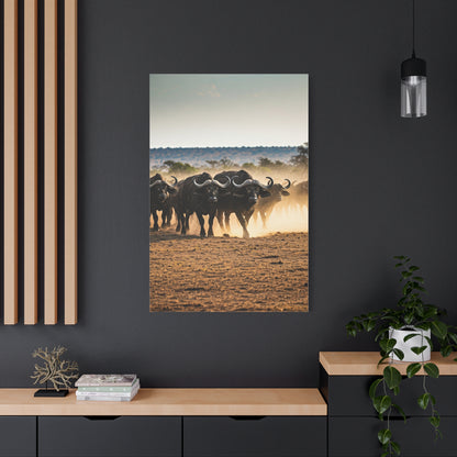 Wild Buffalo Herd in Dusty Savannah Wall Art & Canvas Prints