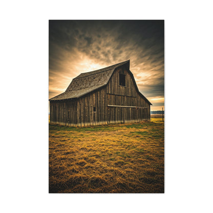 Golden Field Weathered Barn Wall Art & Canvas Prints