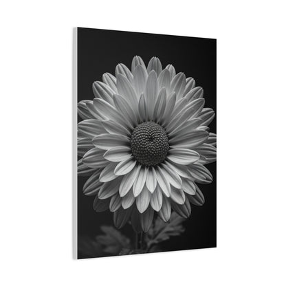 Monochrome Daisy Bloom Portrait Wall Art & Canvas Prints