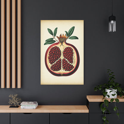 Pomegranate Cross Section Illustration Wall Art & Canvas Prints