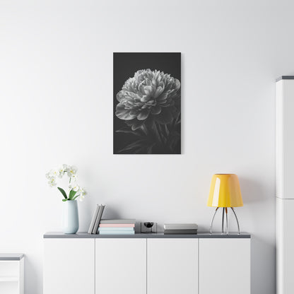 Midnight Peony Elegance Wall Art & Canvas Prints