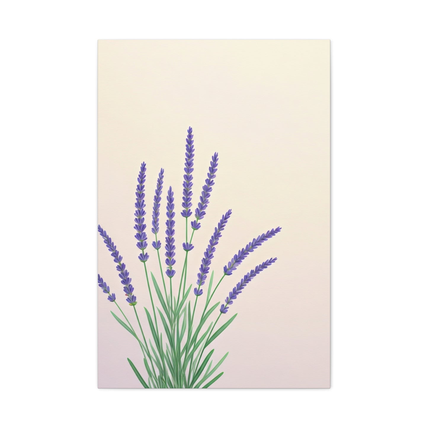 Lavender Botanical Minimal Illustration Wall Art & Canvas Prints