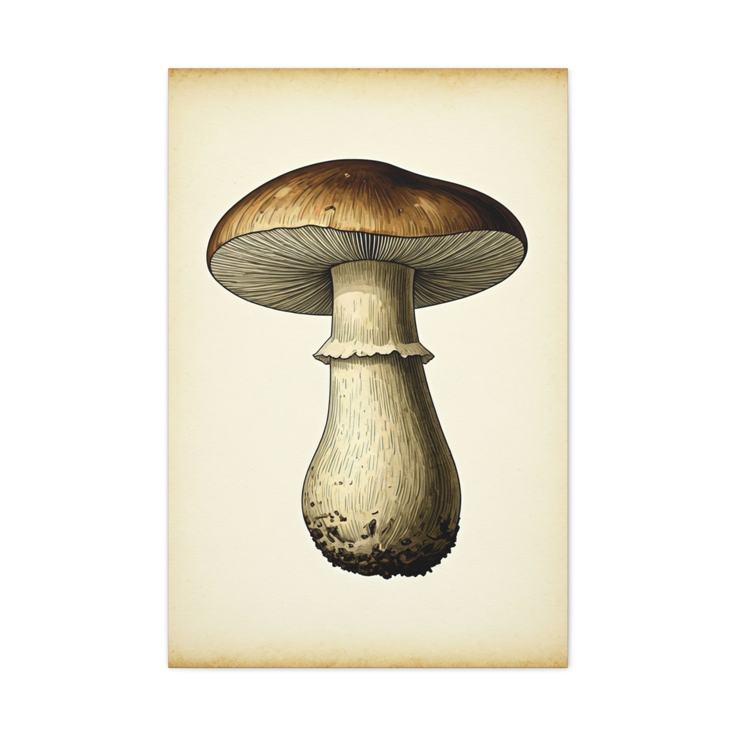 Mushroom Study Wall Art & Canvas Prints