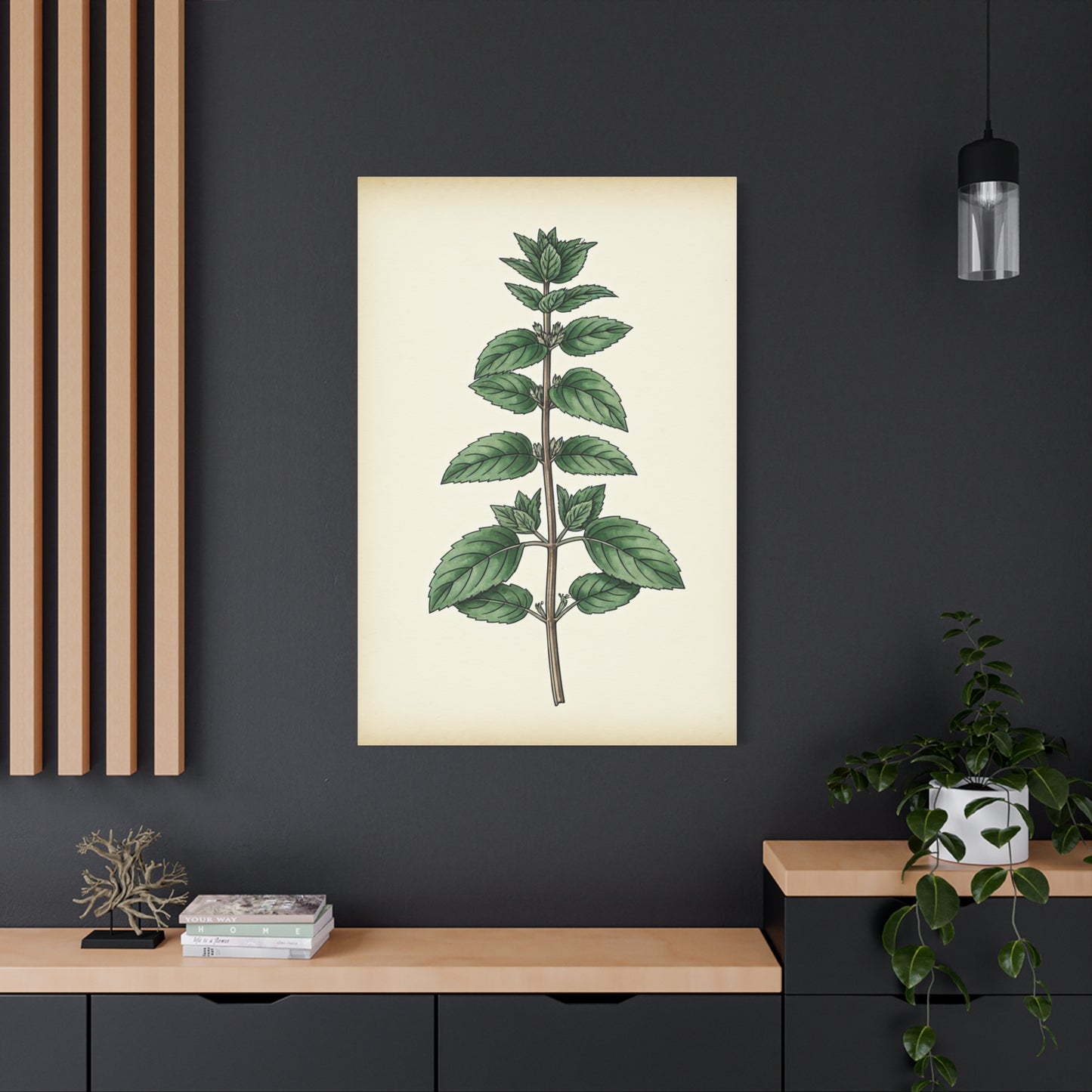 Mint Plant Herbal Illustration Wall Art & Canvas Prints