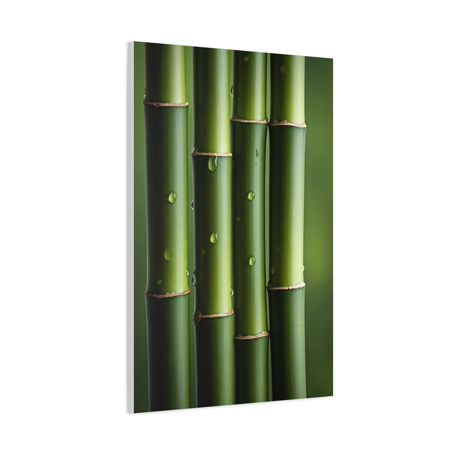 Green Bamboo Stalks Natural Zen Wall Art & Canvas Prints