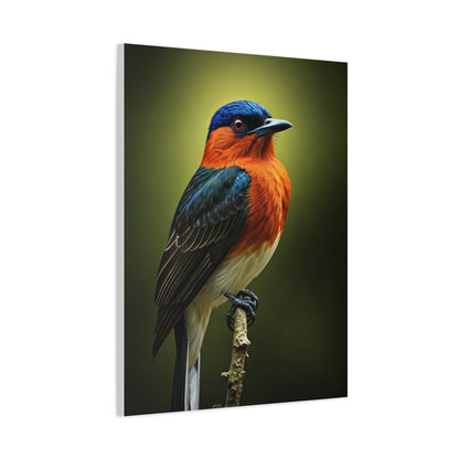 Vibrant Bluebird Perch Wall Art & Canvas Prints