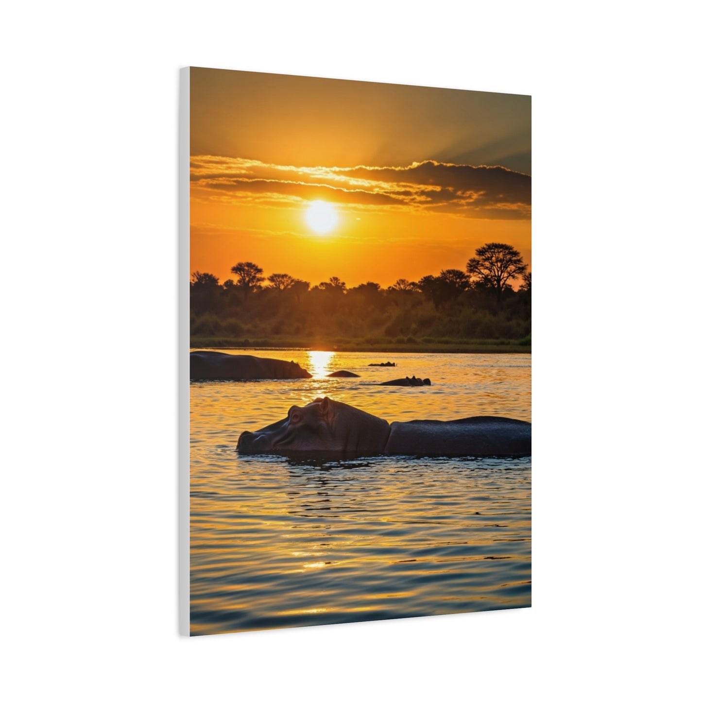 Hippo Resting at Sunset Waters Wall Art & Canvas Prints