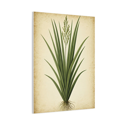 Wild Grass Illustration Wall Art & Canvas Prints
