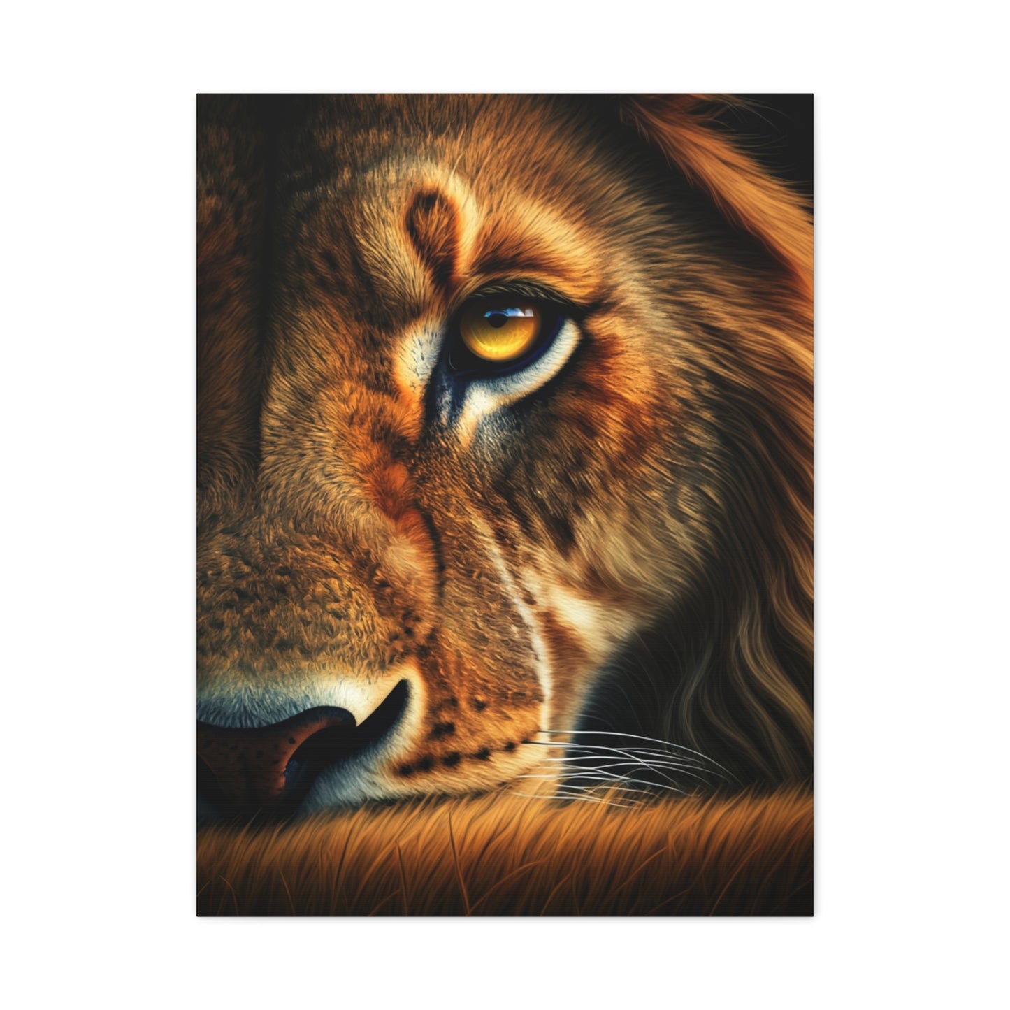 Lion’s Intensity Wall Art & Canvas Prints