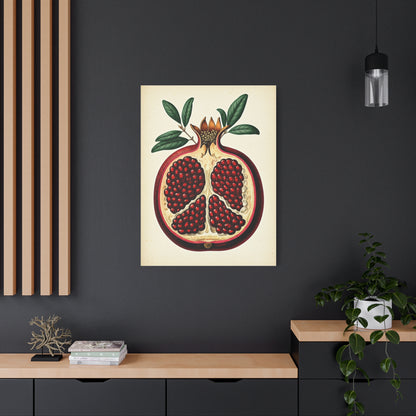 Pomegranate Cross Section Illustration Wall Art & Canvas Prints