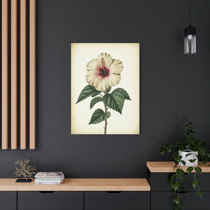 White Hibiscus Illustration Wall Art & Canvas Prints