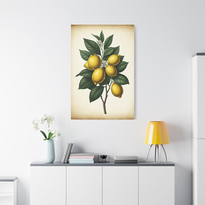 Lemon Branch Illustration Wall Art & Canvas Prints