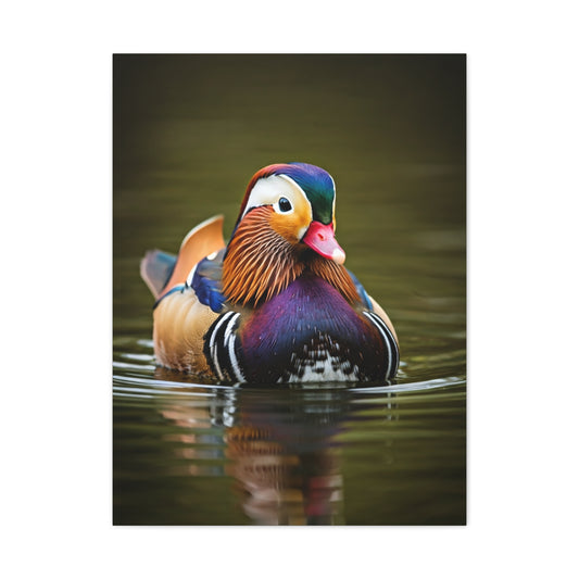 Mandarin Duck with Colorful Plumage Wall Art & Canvas Prints