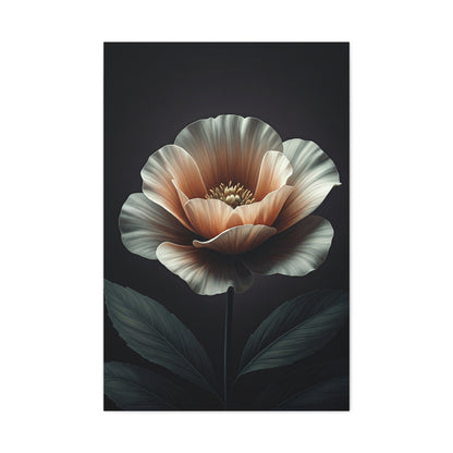 Single Bloom Elegance Floral Wall Art & Canvas Prints