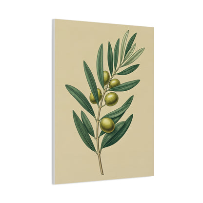 Olive Branch Study Wall Art & Canvas Prints
