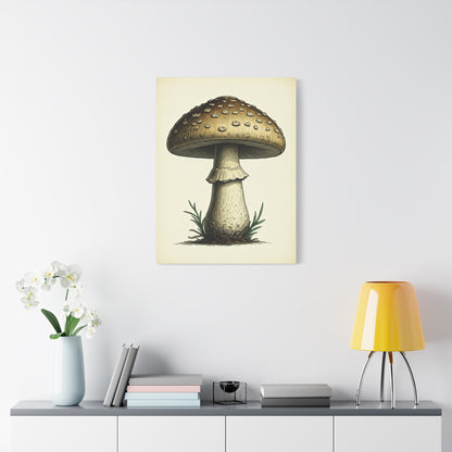 Woodland Toadstool Illustration Wall Art & Canvas Prints