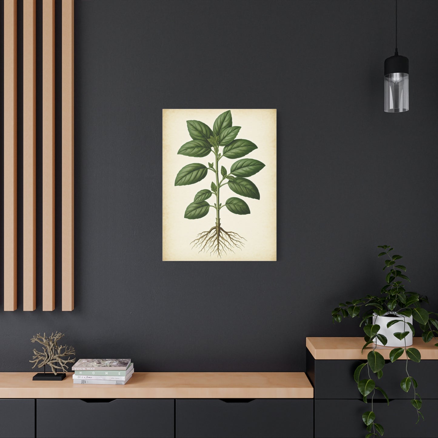 Basil Plant Herbal Illustration Wall Art & Canvas Prints