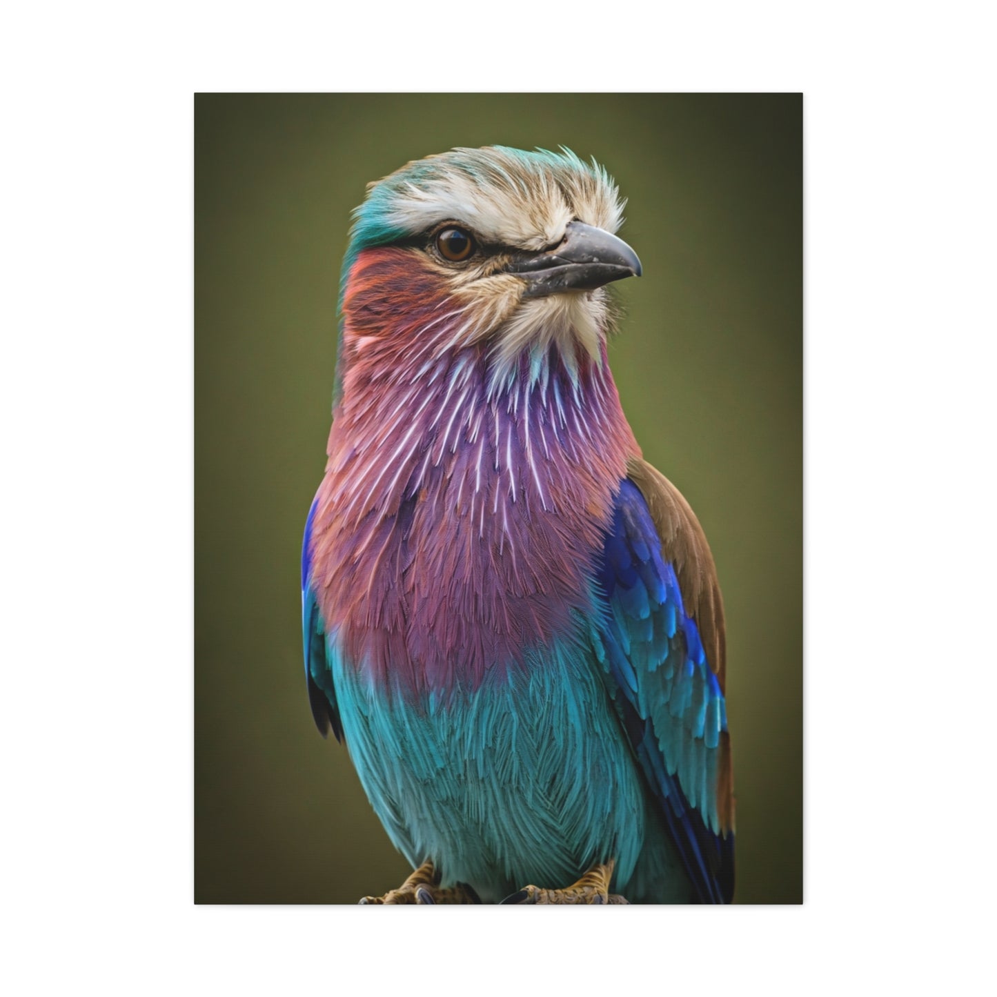 Lilac-Breasted Roller Serenity Wall Art & Canvas Prints