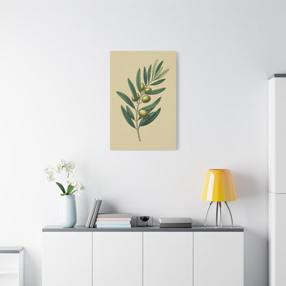 Olive Branch Study Wall Art & Canvas Prints