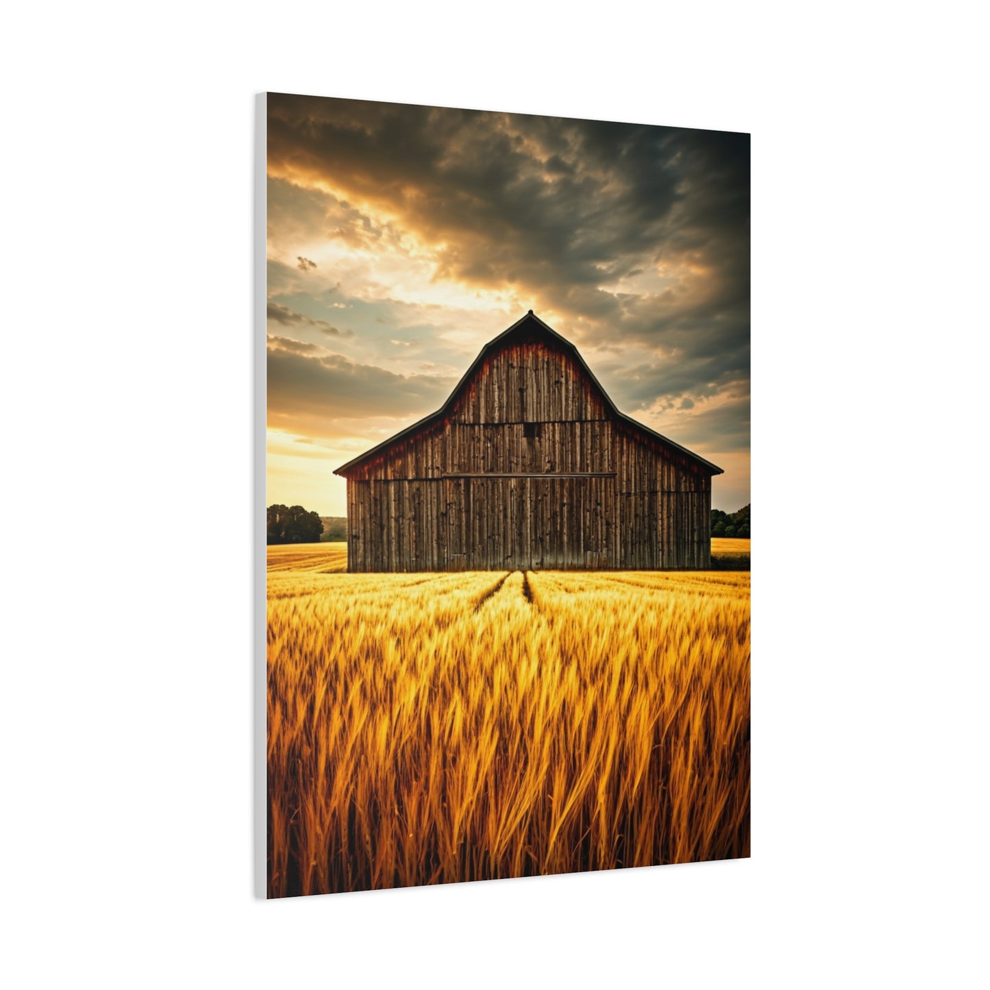 Golden Wheatfield Barn at Sunset Wall Art & Canvas Prints