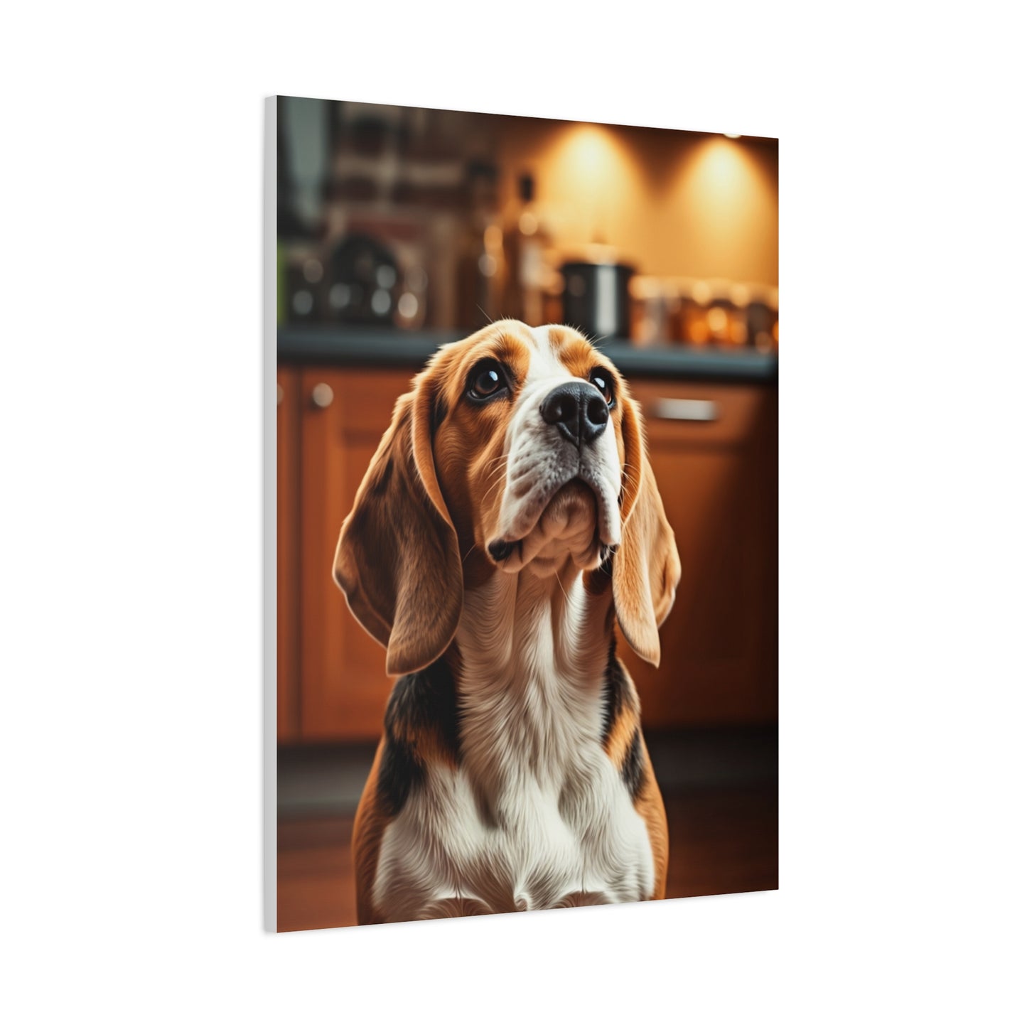 Kitchen Gaze Beagle Wall Art & Canvas Print