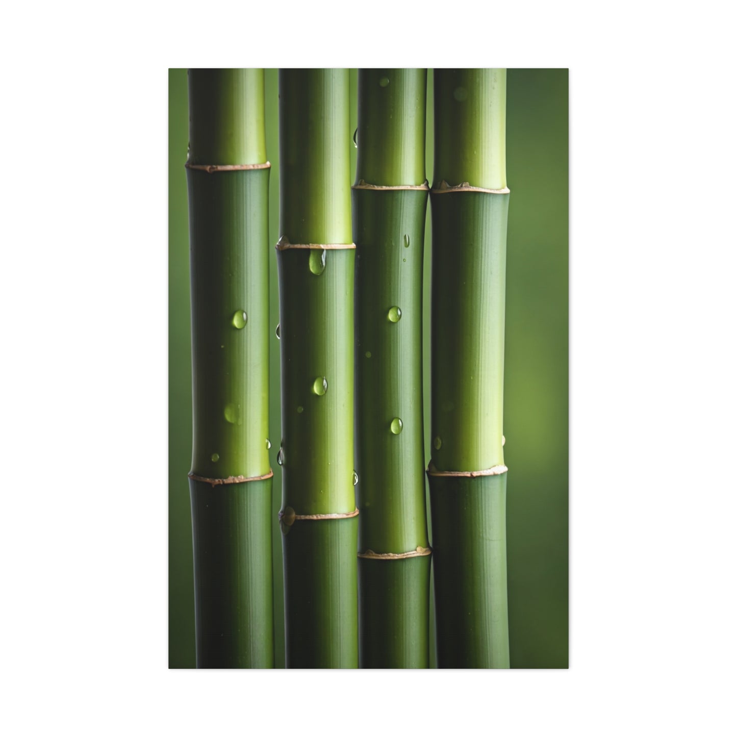 Green Bamboo Stalks Natural Zen Wall Art & Canvas Prints